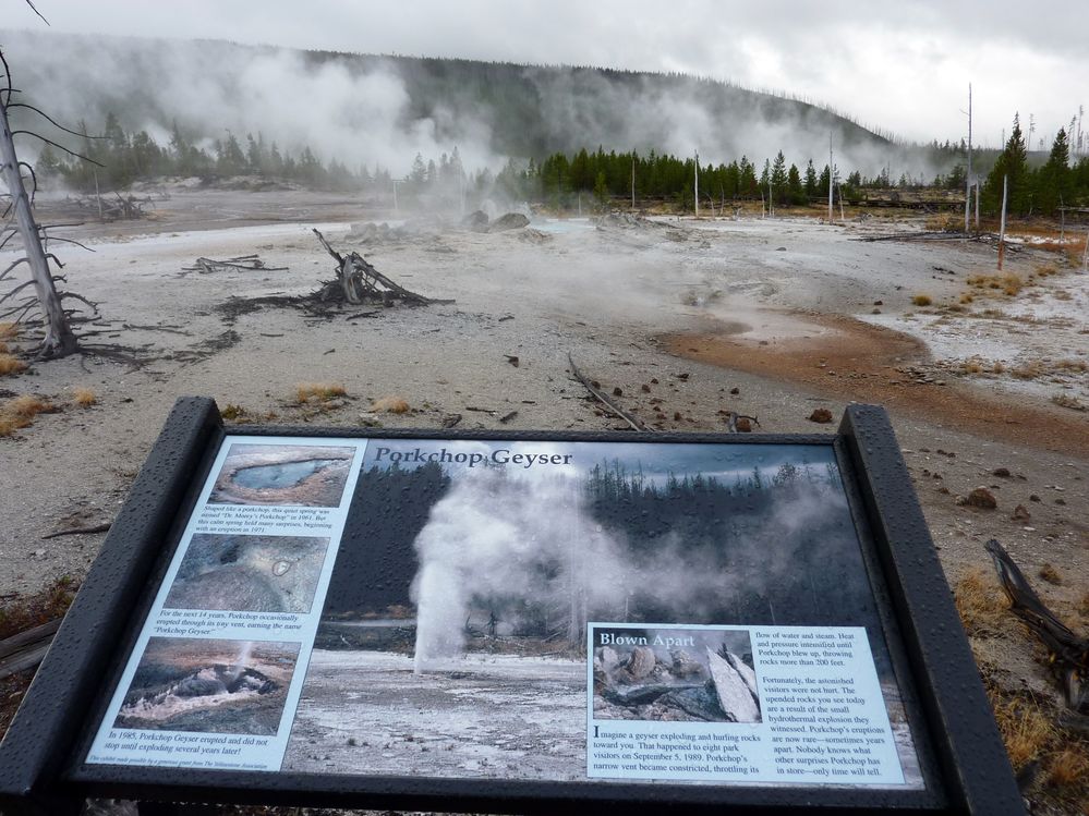 Yellowstone Norris Geyser (59).JPG